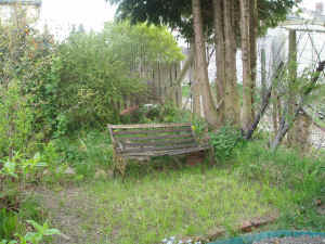 bench at top of small garden.JPG (858496 bytes)
