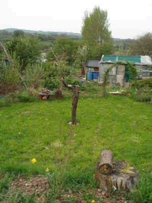 view of circle with hawthorn arch.JPG (796340 bytes)