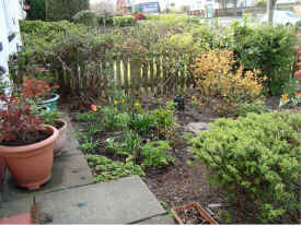 garden.front.2.jpg (937867 bytes)