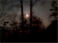 full moon 23 May.jpg (92915 bytes)