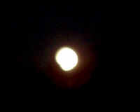 moon1.jpg (34980 bytes)